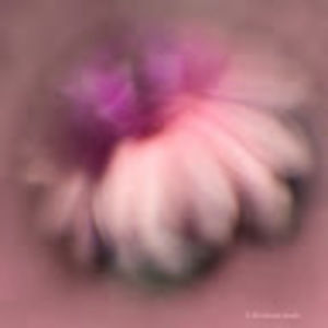 Meet your Posher, Kay